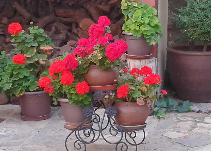 La Posada de Clotilde Cella